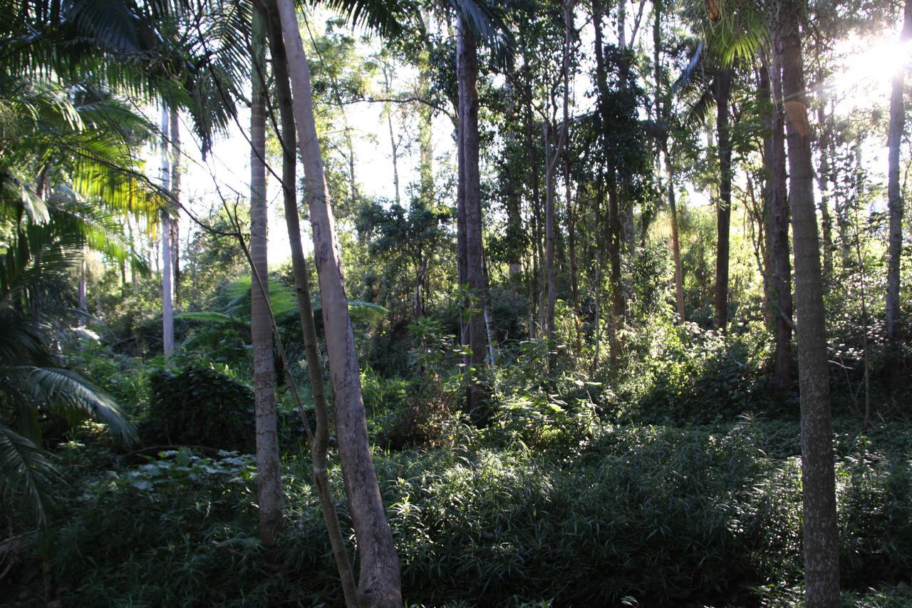 Paperbark Bed & Breakfast Бризбейн Екстериор снимка